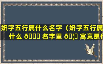 妍字五行属什么名字（妍字五行属什么 🍁 名字里 🦁 寓意是什么）